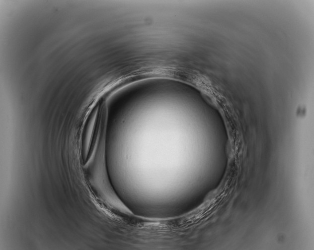 X0000099310050200805091028