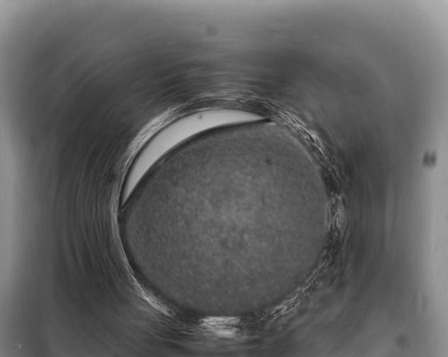 X0000099310051200805091028