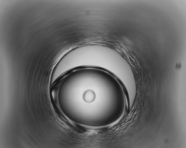 X0000099310052200805091028