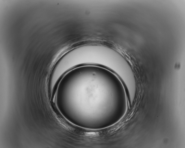 X0000099310053200805091028