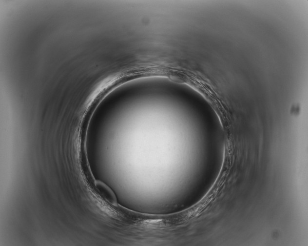 X0000099310054200805091028