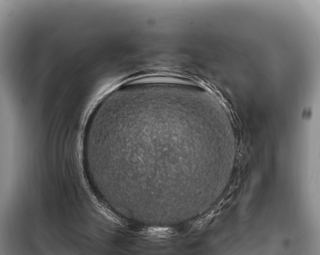 X0000099310055200805091028