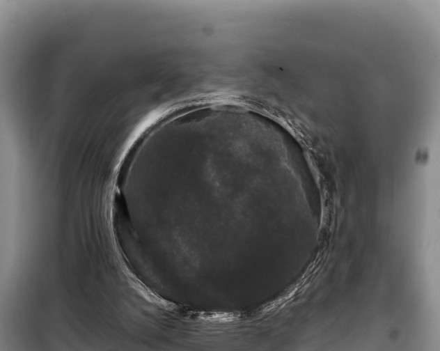 X0000099310056200805091028