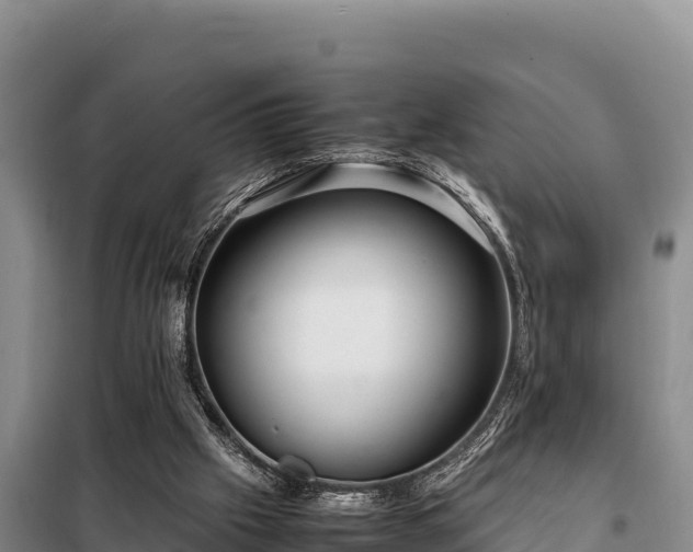 X0000099310057200805091028