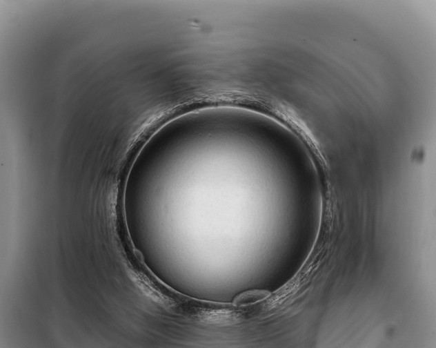 X0000099310058200805091028