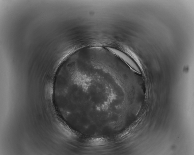 X0000099310059200805091028