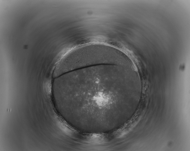 X0000099310060200805091028