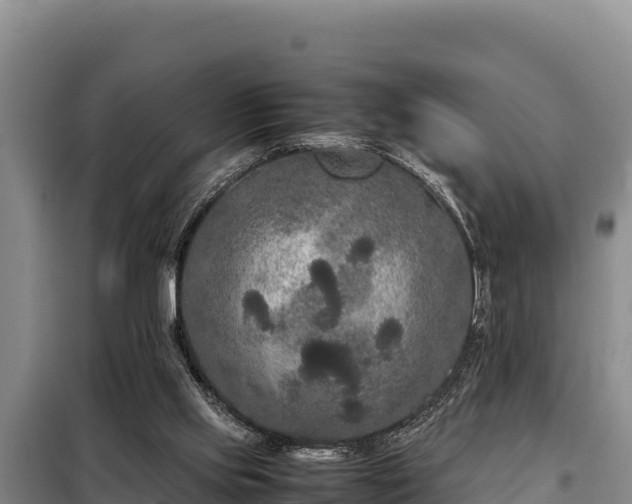 X0000099310061200805091028