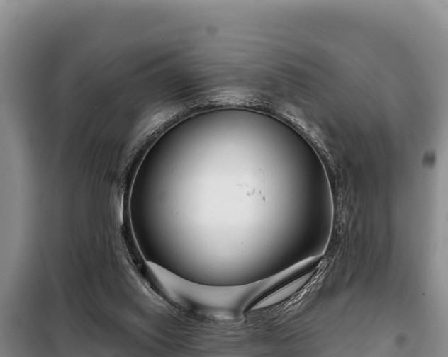 X0000099310062200805091028