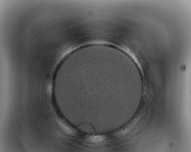 X0000099310063200805091028