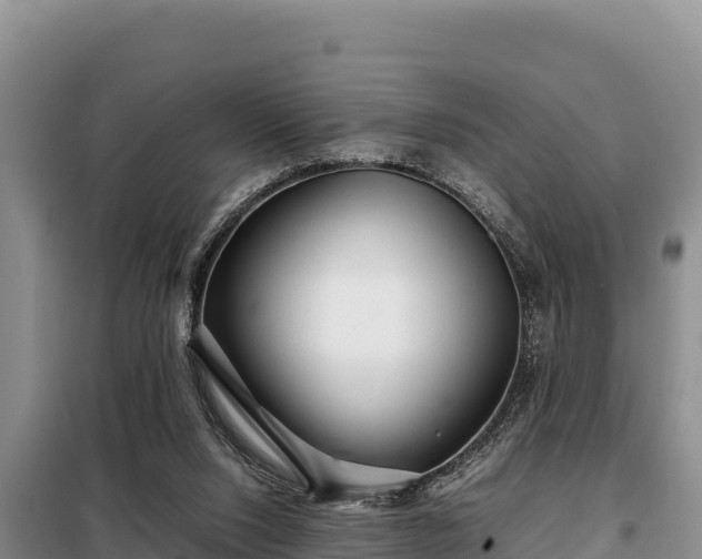 X0000099310064200805091028