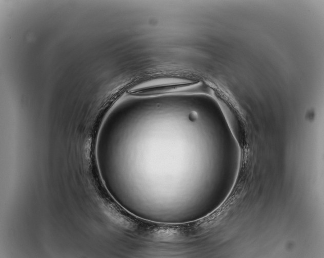 X0000099310066200805091028