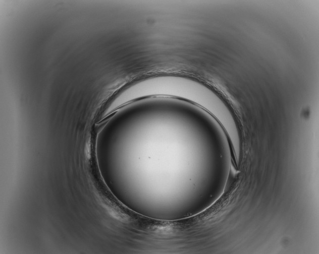 X0000099310068200805091028