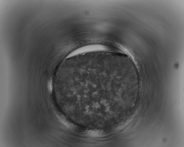 X0000099310069200805091028