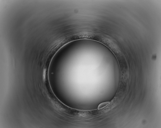 X0000099310070200805091028