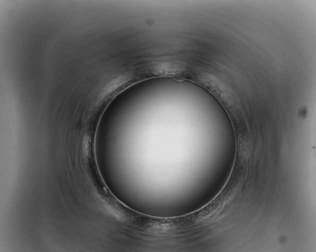 X0000099310071200805091028