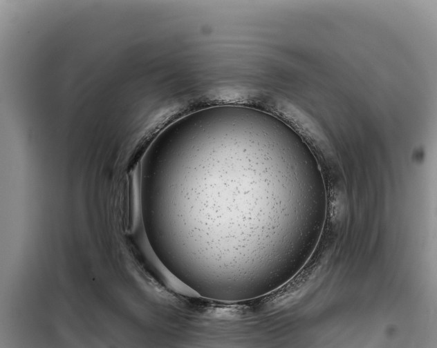 X0000099310072200805091028