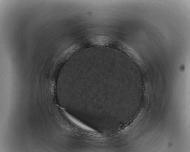 X0000099310073200805091028