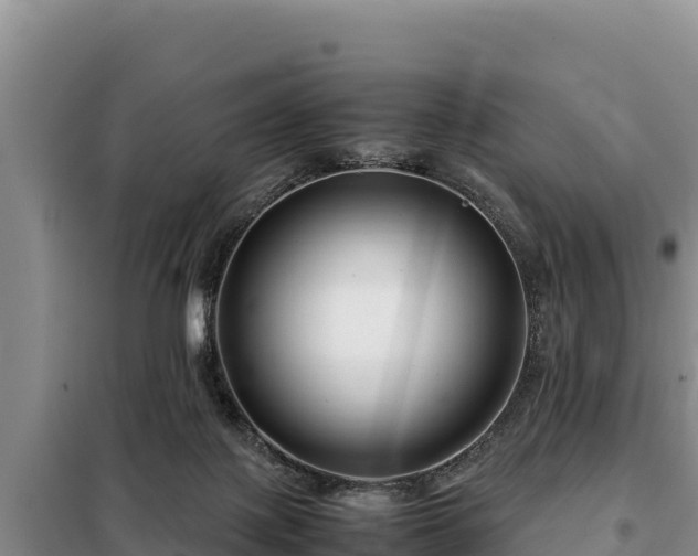 X0000099310075200805091028