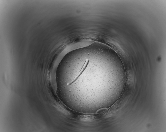 X0000099310077200805091028