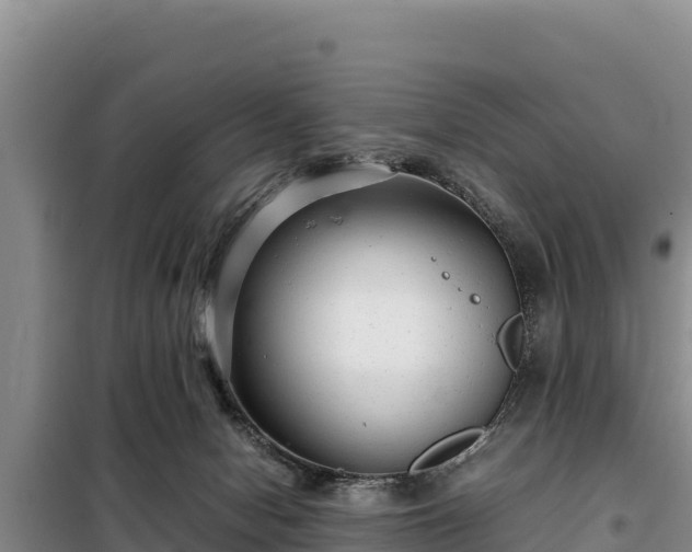 X0000099310078200805091028