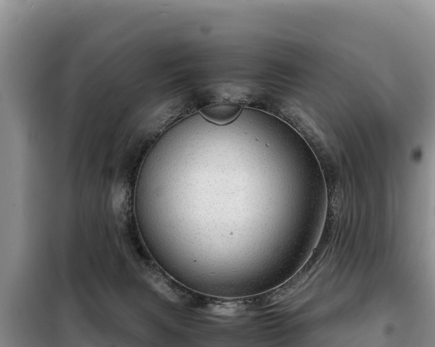 X0000099310079200805091028