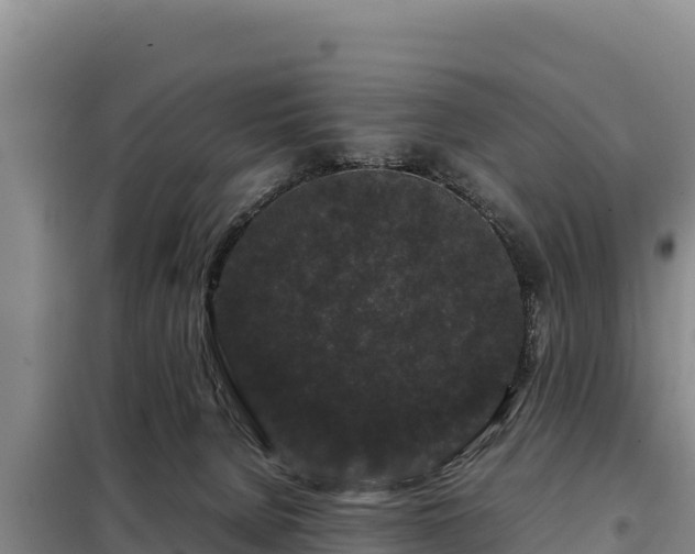 X0000099310080200805091028