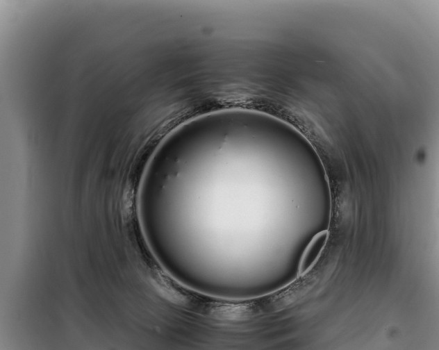 X0000099310081200805091028