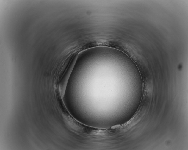 X0000099310082200805091028