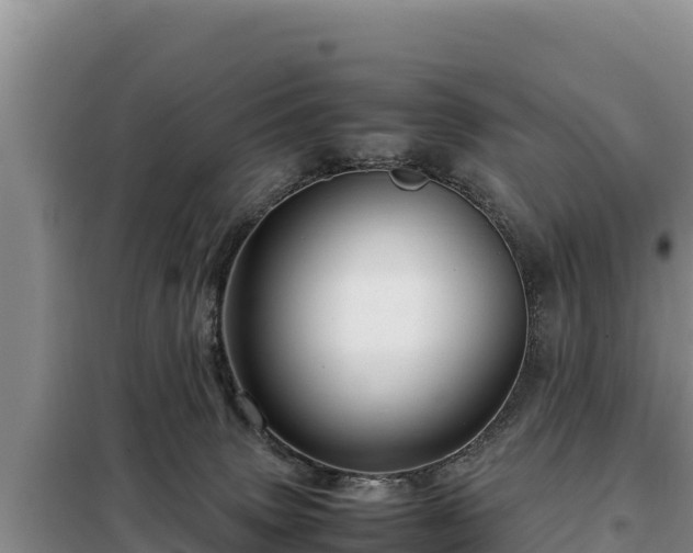 X0000099310083200805091028