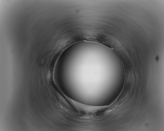 X0000099310084200805091028