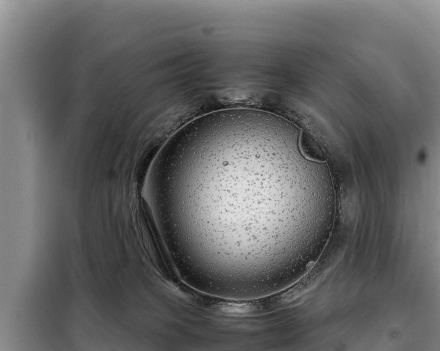 X0000099310085200805091028