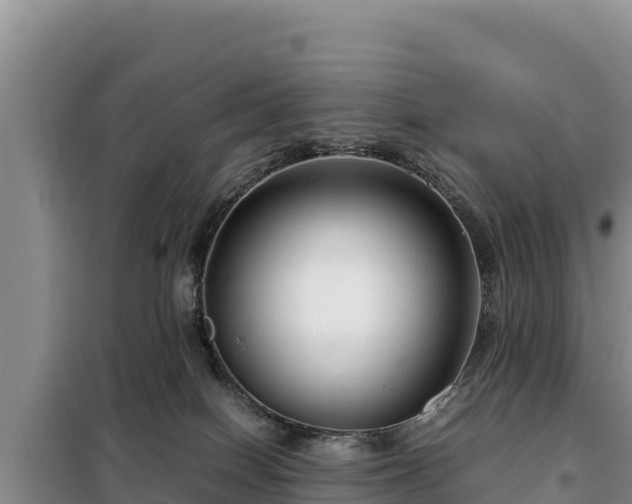 X0000099310086200805091028