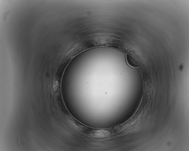 X0000099310087200805091028