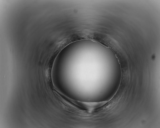 X0000099310088200805091028