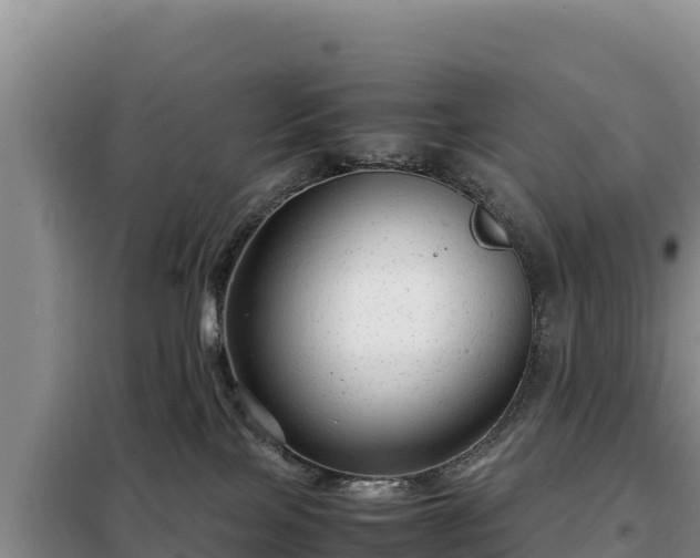 X0000099310089200805091028