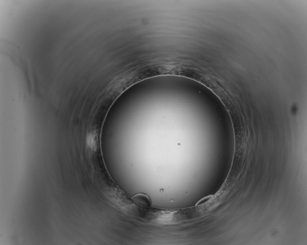 X0000099310090200805091028