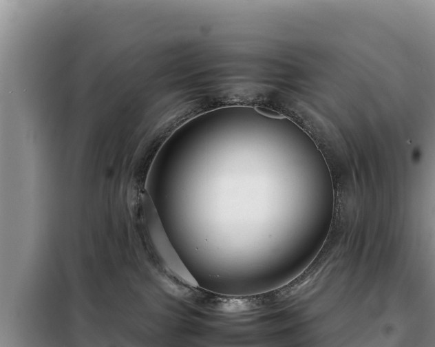 X0000099310091200805091028