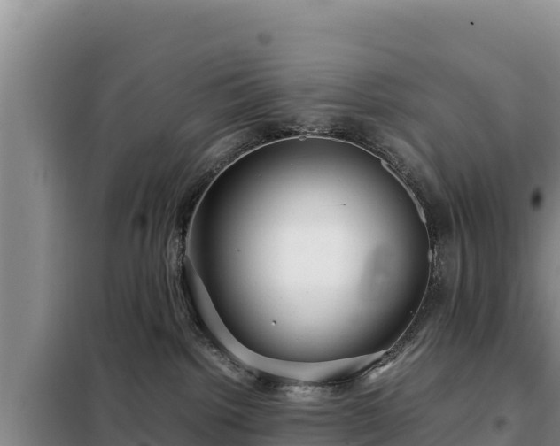 X0000099310092200805091028