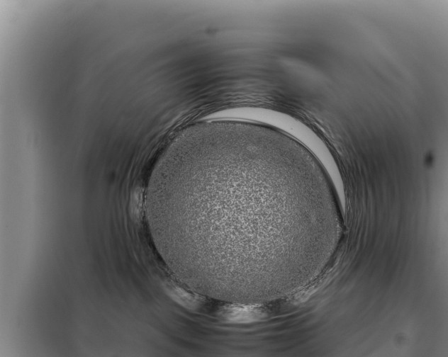 X0000099310093200805091028