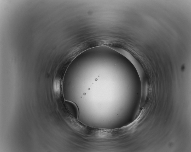 X0000099310094200805091028