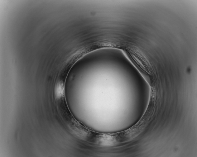 X0000099310095200805091028