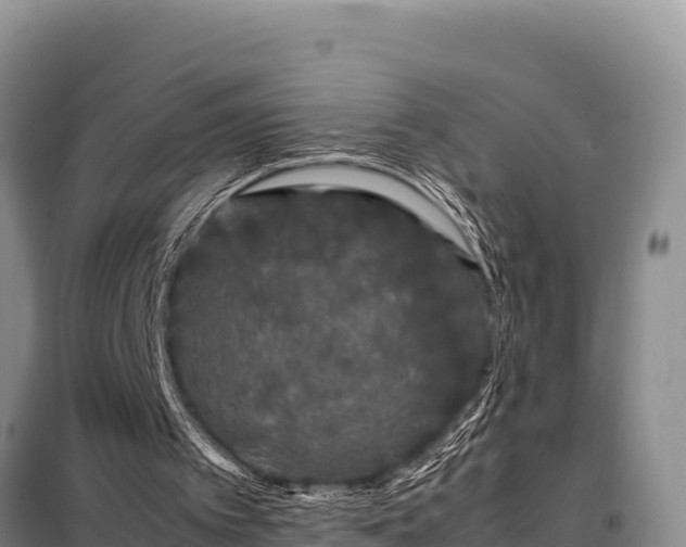 X0000099310097200805091028