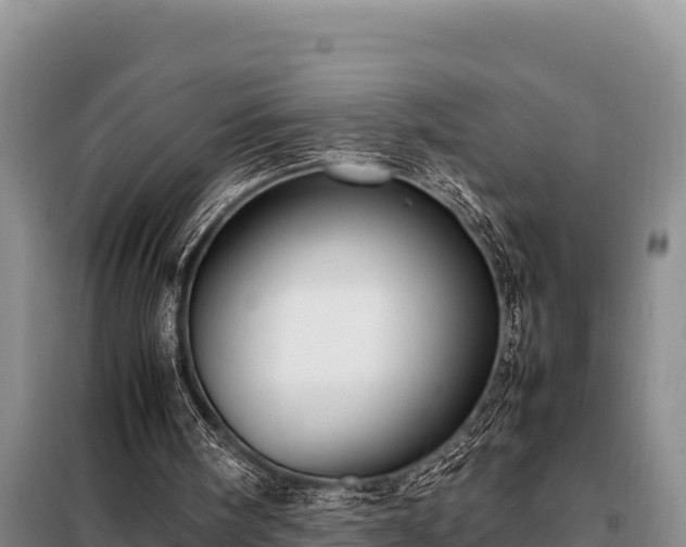 X0000099310098200805091028