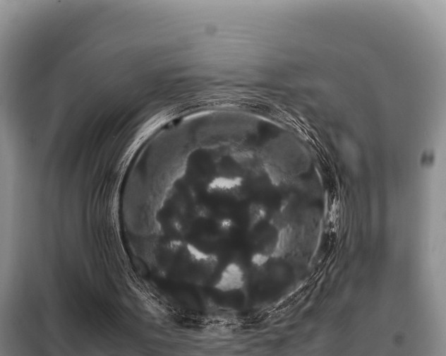 X0000099310099200805091028