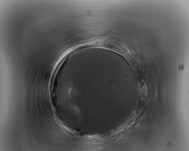 X0000099310100200805091027