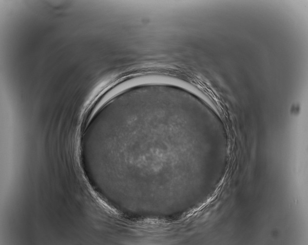 X0000099310101200805091027