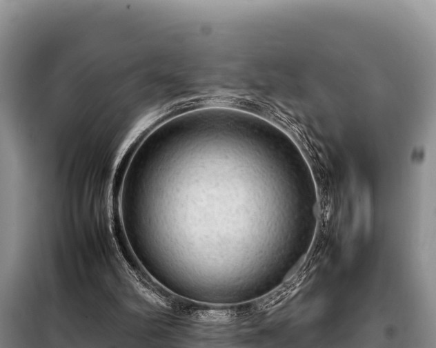 X0000099310102200805091027