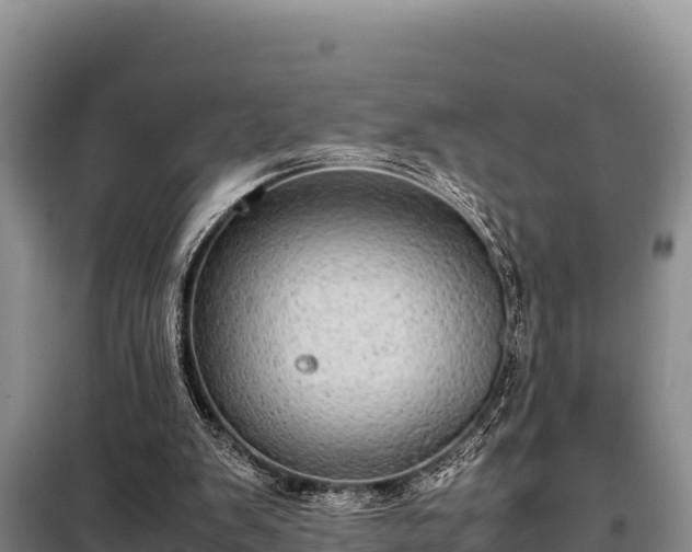 X0000099310103200805091027