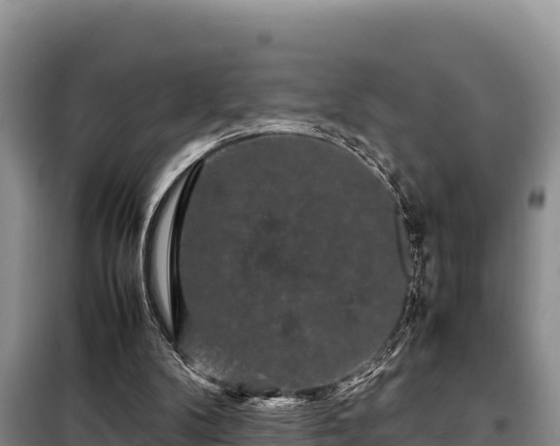 X0000099310104200805091027